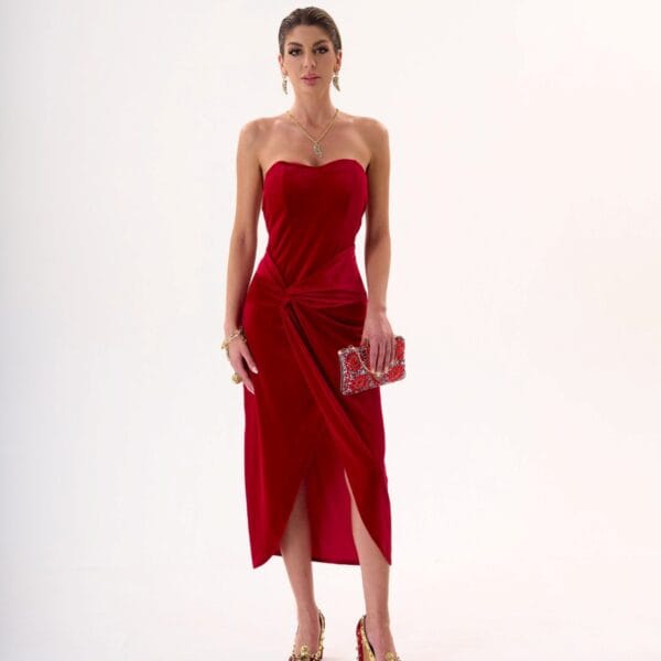 Vestido de Noche Bordo Brillante de Terciopelo | LUISON