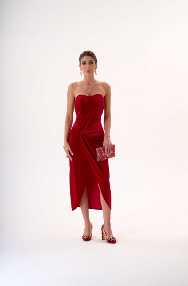 Vestido de Noche Bordo Brillante de Terciopelo | LUISON